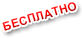 бесплатно